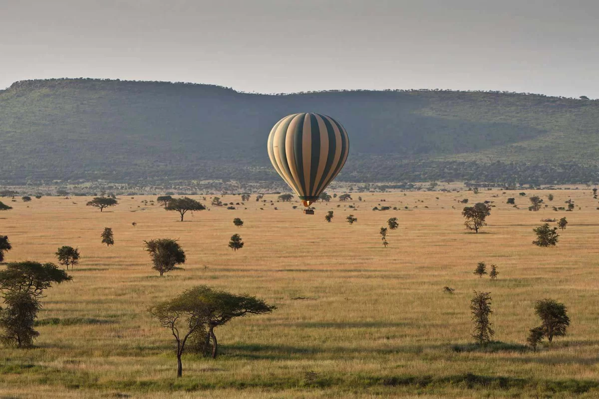 Balloon Rides
