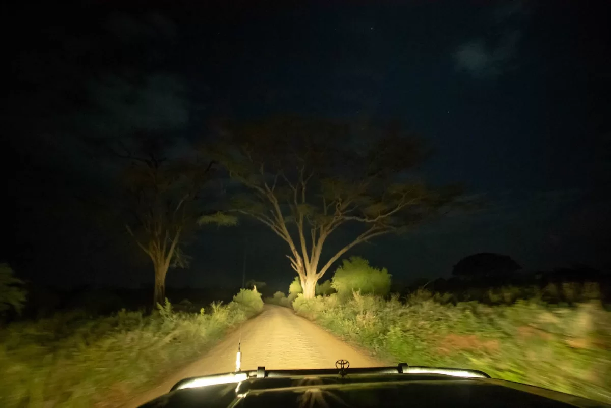 Luxury Safaris