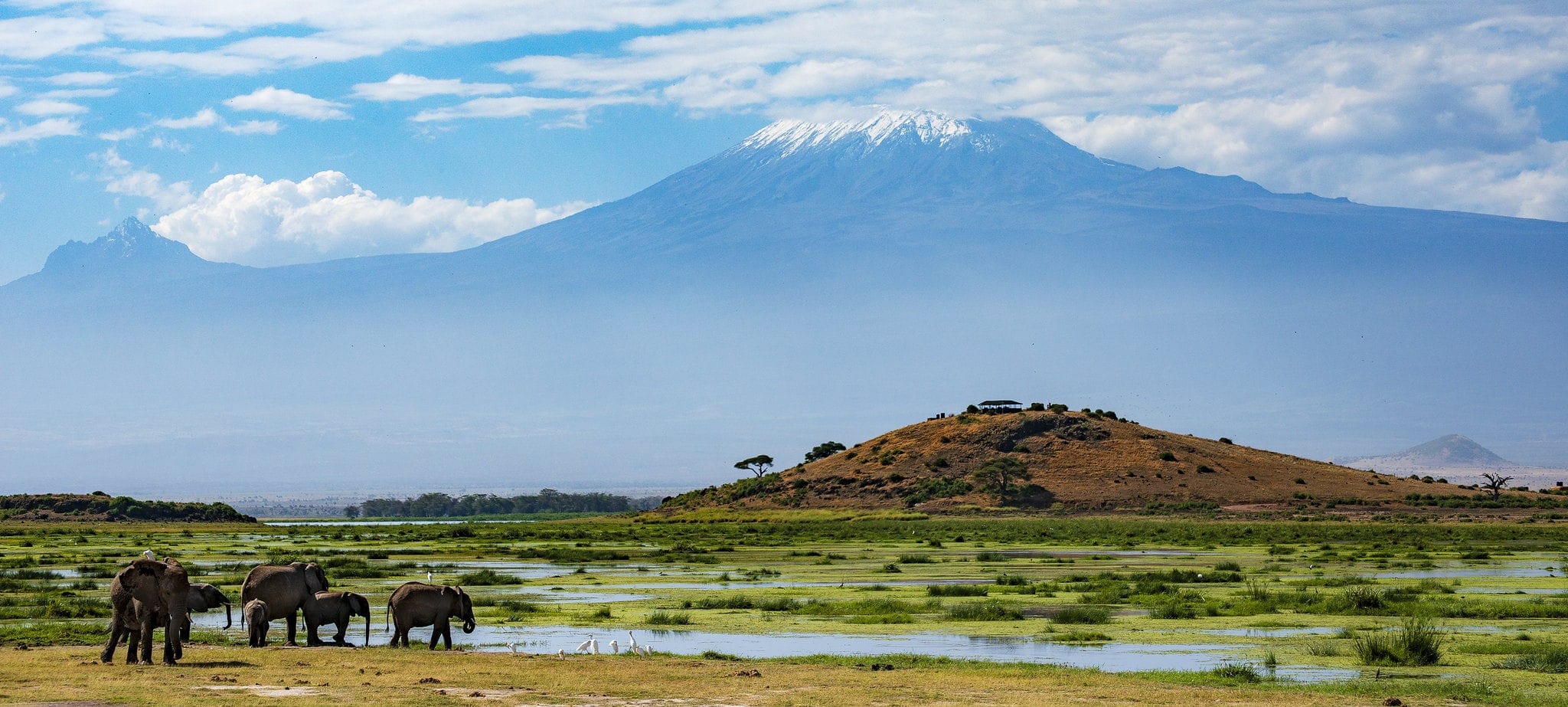 Amboseli Safari